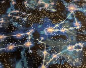 Blue Green Nebula Galaxy Constellation Igloo Cover for Hedgehogs, Guinea Pigs, Rats, Ferrets, Degus and many small pets