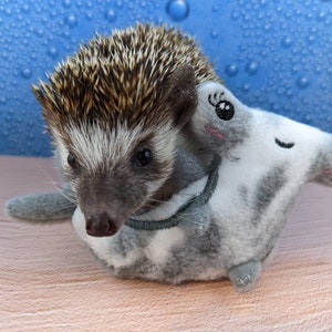 Sledge the Hammerhead Shark Toss Toy Mint Stuffed Hedgehog Toy Cage Buddy Photo Prop Enrichment