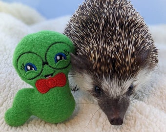 Brooks the Bookworm Mint Stuffed Hedgehog Toy Cage Buddy