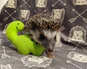 Billy the Bronto Mint Stuffed Hedgehog Toy Small Animal Cage Buddy