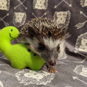 Billy the Bronto Mint Stuffed Hedgehog Toy Small Animal Cage Buddy