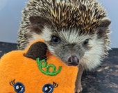 Pia the Pumpkin Autumn Halloween Fall Mint Stuffed Hedgehog Toy Small Animal Cage Buddy