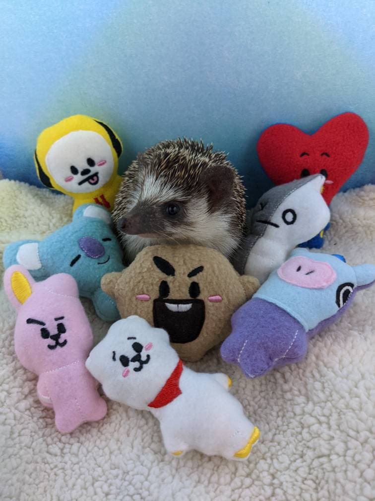 未開封❤︎BT21 公式❤︎BASICマスコット❤︎コンプリートセット❤︎BTS Official Ichiban Kuji BT21 BTS Character HAPPY CAMP JAPAN Limited