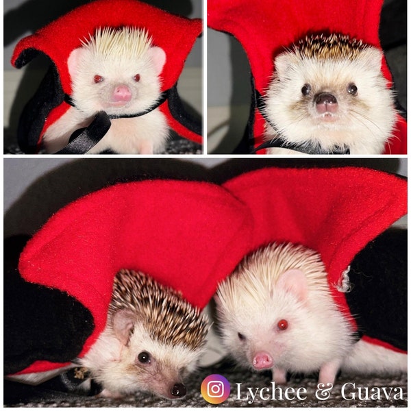 Vampire Cape Double Fleece Satin Ribbon Count Dracula Cloak Hedgehog Halloween Costume