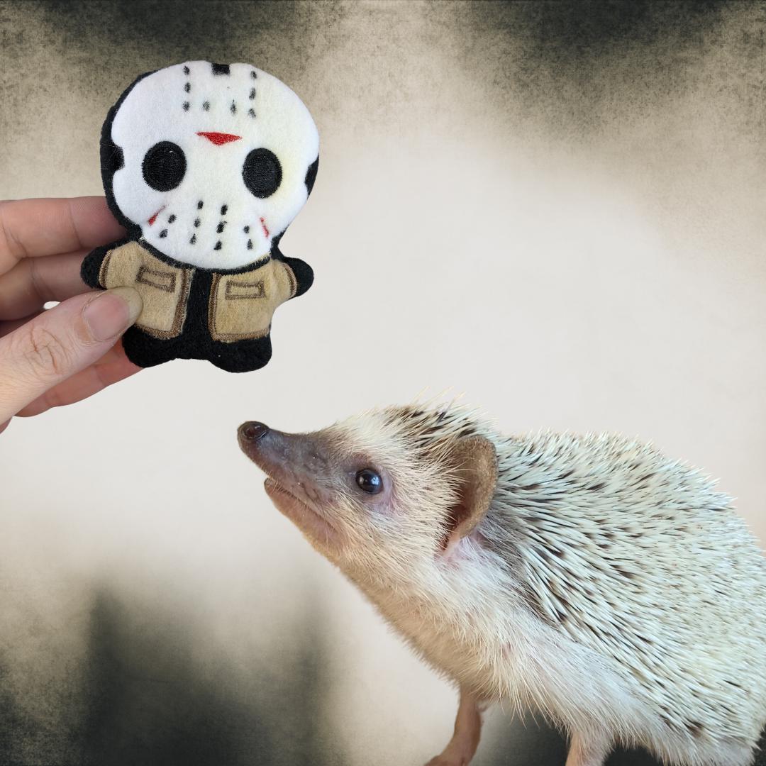 THE HEDGEHOGS INVASION U.S.A. ロカビリー THE HEDGEHOGS/Invasion U.S.A./ネオロカサイコビリー - メルカリ