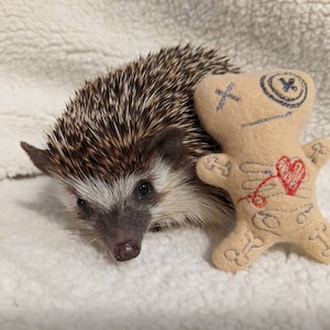 May include: A brown and white hedgehog with a black nose is lying next to a beige voodoo doll with red stitching. The doll has a red heart and an X on its chest.