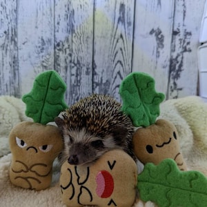 Emotional Mandrakes Mint Stuffed Hedgehog Toy Small Animal Cage Buddy Photo Prop