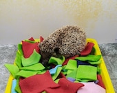 Hedgehog Dig Box Forage Enrichment Activity Cage Clutter Hedgie Toy