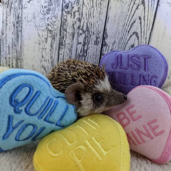 Candy Hearts Valentine's Day Stuffed Hedgehog Toy Cage Buddy Fleece Stuffie