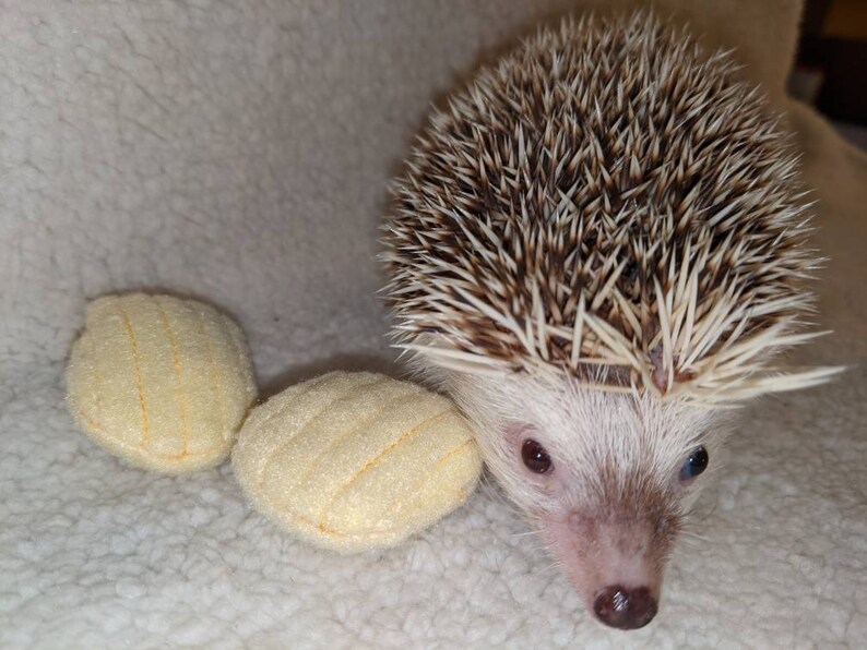 Potato Chip Duo Mint Stuffed Hedgehog Toy Etsy
