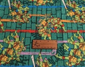 Turtle Bros TMNT Cuddle Bag Hedgehogs Rats Ferrets Guinea Pigs Small Pets Snuggle Sack Fleece