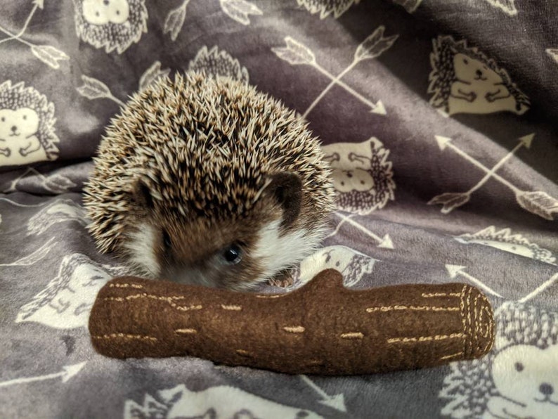 Mint Stick Stuffed Hedgehog Toy Etsy
