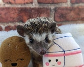 Kawaii Heart Chip Cookie and Milk Carton Mint Stuffed Hedgehog Toy Cage Buddy Chibi Friend