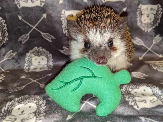 Hedgehog Rain/Milk Blanket