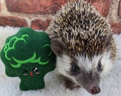 Brady the Broccoli Mint Stuffed Hedgehog Toy Small Animal Cage Buddy