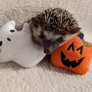 Spooky Spirit Halloween Ghost Mint Stuffed Hedgehog Toy Small Animal Cage Buddy