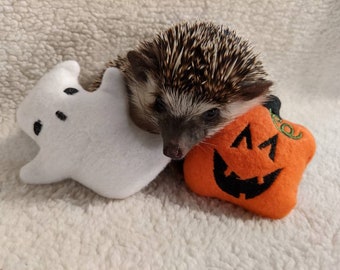 Spooky Spirit Halloween Ghost Mint Stuffed Hedgehog Toy Small Animal Cage Buddy