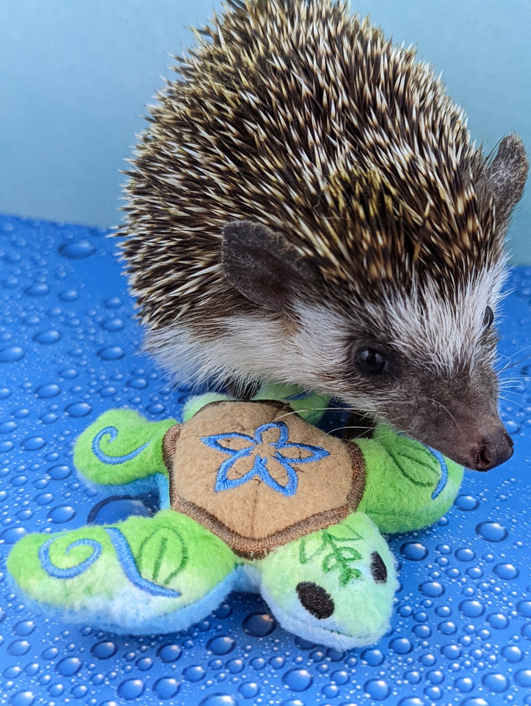 EA Sports FC 24 è Il Gioco Più Venduto A Dicembre Nel Regno Unito - Foto 8