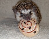 Cinnamon Roll Donut Pastry Mint Stuffed Hedgehog Toy