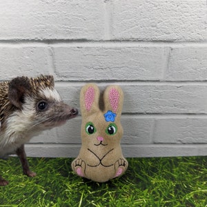 May include: A tan bunny plush toy with pink inner ears and a blue flower, embroidered with green eyes and a black outline. A hedgehog is looking at the bunny. The toy is on a patch of green grass in front of a white brick wall.