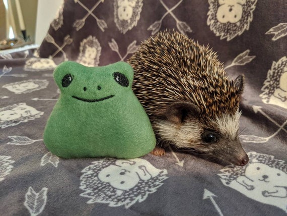 Freddy the Frog Mint Stuffed Hedgehog Toy Small Animal Cage Buddy