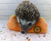 Tortilla Chips Dipped Duo Fleece Mint Stuffed Hedgehog Toy Cage Buddy Photo Prop