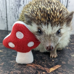 A Mellow Mushroom Mint Stuffed Hedgehog Toy Small Animal Cage Buddy