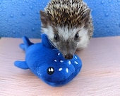 Wallie the Whale Shark Toss Toy Mint Stuffed Hedgehog Toy Cage Buddy Photo Prop Enrichment