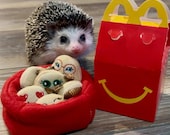 Chicken Nugget Set of Six Mint Stuffed Hedgehog Fleece Toy Cage Buddy Decor Photo Prop for Small Pets
