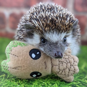 Baby Chibi Kawaii Tree Root Mint Stuffed Hedgehog Toy Cage Buddy