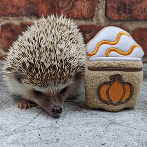 Pumpkin Spiked Latte or Mocha Frappe Beverage Cup Coffee Mint Stuffed Hedgehog Toy Small Animal Cage Buddy Decor Photo Prop