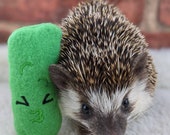 Sour Pickle Mint Stuffed Hedgehog Toy Small Animal Cage Buddy