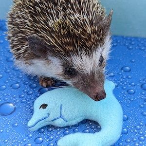Dolly the Dolphin Fleece Mint Stuffed Hedgehog Toy Small Animal Cage Buddy Decor Photo Prop Enrichment Toy