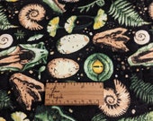 Dinosaur Rawr Bag for Hedgehogs Ferrets Degus Small Pets Snuggle Sack