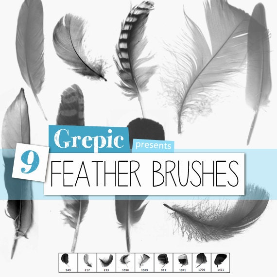 Items similar to Photoshop brush: Feather Photoshop Brushes on Etsy