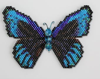 Electric Blue Butterfly (Eunica eurota) Pattern/Tutorial