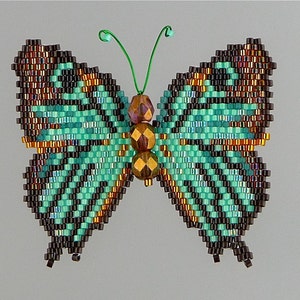 Black-veined Hairstreak Butterfly  Pattern and Tutorial