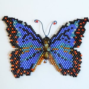 Blauw Morpho-vlinderpatroon en zelfstudie
