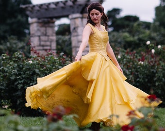 Cinderella Disney Dress Costume Cosplay Gown 2015 Live Etsy