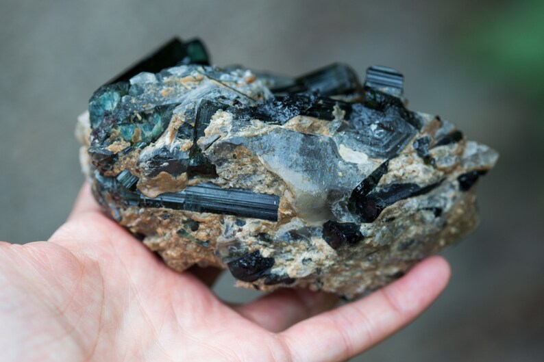 May include: A natural mineral specimen with black tourmaline crystals set in a matrix of beige and grey rock. The crystals are elongated and glossy. The specimen is held in a hand. The overall appearance is rough and unpolished.