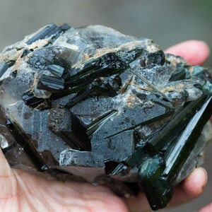 May include: A hand holds a raw mineral specimen. The stone is a mix of grey and clear quartz, with dark green tourmaline crystals radiating from the surface. The crystals are long and needle-like, with a glossy appearance.