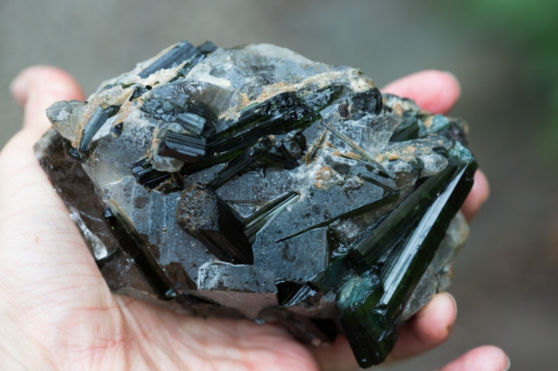 May include: A hand holds a raw mineral specimen. The stone is a mix of grey and clear quartz, with dark green tourmaline crystals radiating from the surface. The crystals are long and needle-like, with a glossy appearance.