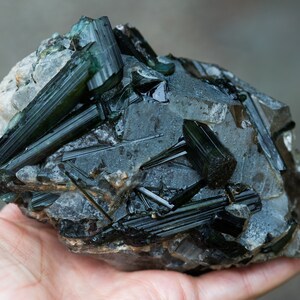 May include: A natural mineral specimen with dark green tourmaline crystals set in a grey and white stone matrix. The crystals are elongated and glassy, with a deep, rich colour. The specimen is uncut and raw.