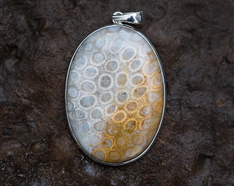Agatized Fossil Coral Pendant - Fossil Agate Coral Necklace - Agatized Coral - Fossil Coral - Petoskey Agate - Petoskey Stone - Fossil