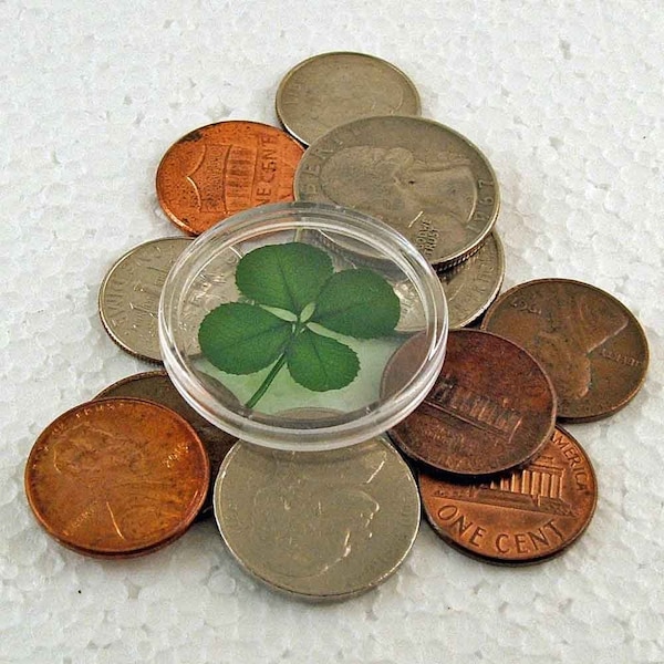 Genuine Preserved Four Leaf Clover Good Luck Charm Floating in a Pocket Token - CH-4L