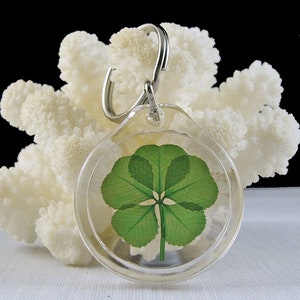 May include: A clear plastic keychain with a four-leaf clover pressed inside. The clover is green and has a thin stem.