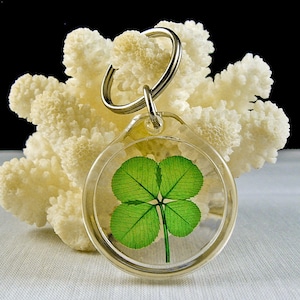May include: A four-leaf clover keychain with a silver ring. The clover is pressed and preserved in a clear plastic circle.