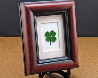 Good Luck Mahogany Frame with a Real Genuine Four Leaf Clover for Desk, Shelf or Wall Mounting - MH-4F