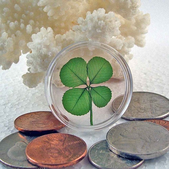 Genuine Preserved Four Leaf Clover Good Luck Charm Floating in a Pocket  Token CH-4L 