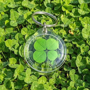 May include: A clear, round keychain featuring a four-leaf clover encased in transparent plastic. The keychain has a silver metal ring and is set against a background of vibrant green clover leaves.